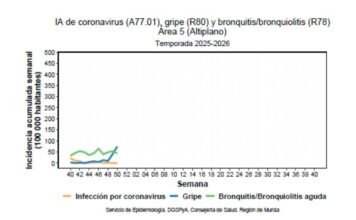 Los casos de gripe resgistrados aumentan un 84% en la comarca