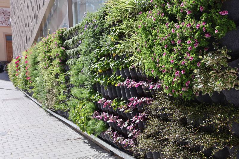 jardín vertical del Mercado Central