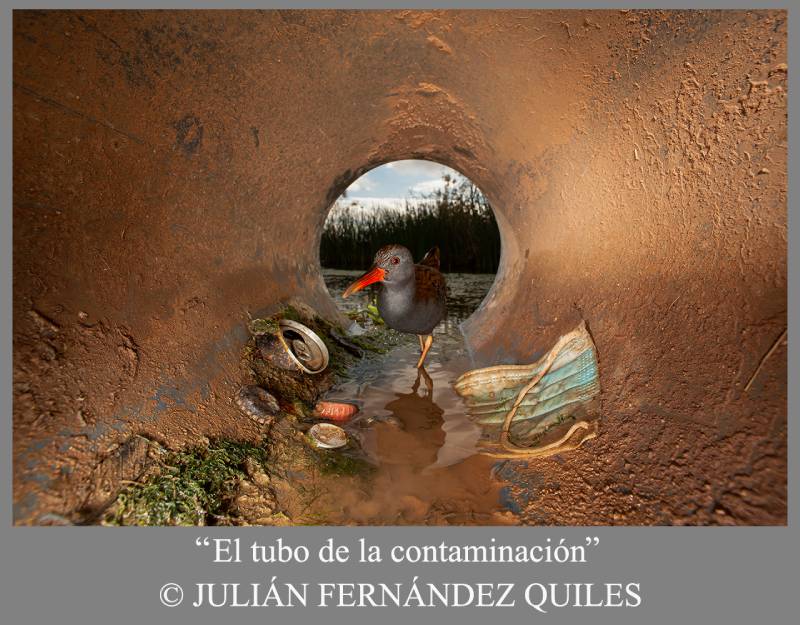concurso de naturaleza de ANIDA