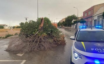 Aemet prevé 42 grados y fuertes tormentas durante la tarde